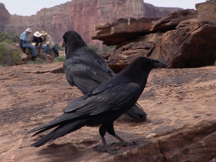 img00022.jpg