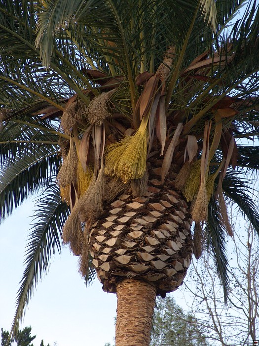 img00084.jpg