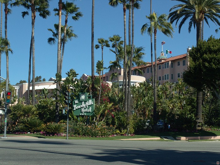 img00105.jpg