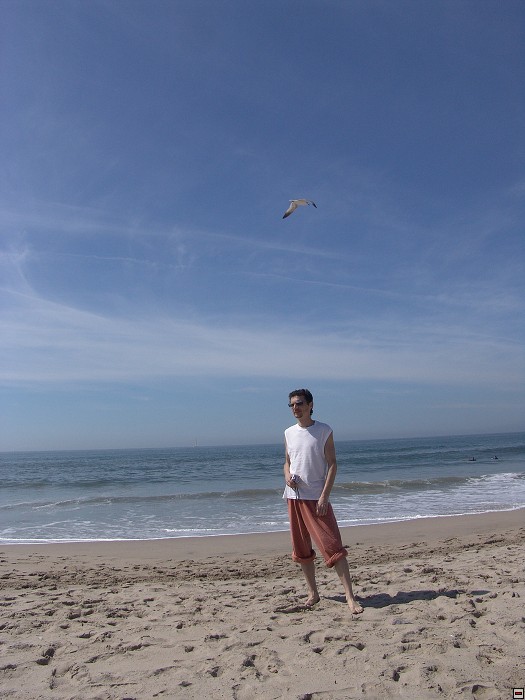 img00114.jpg