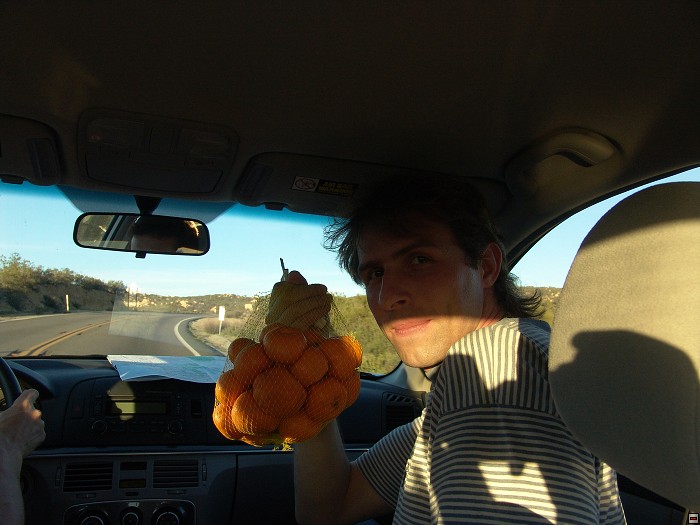 img00118.jpg