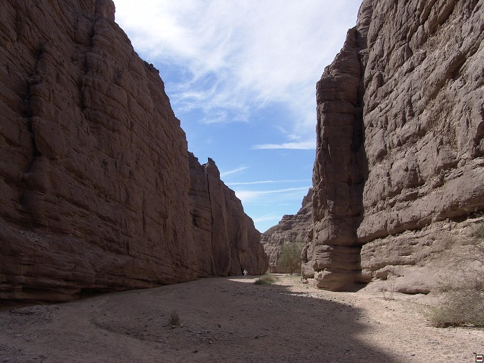img00124.jpg