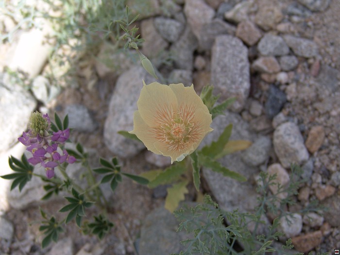 img00128.jpg