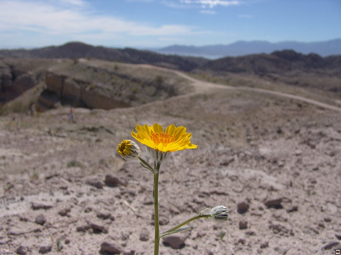 img00129.jpg