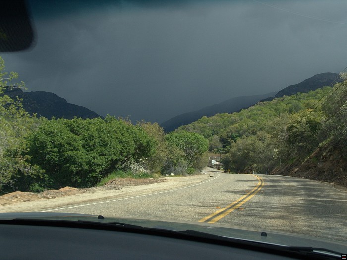 img00135.jpg