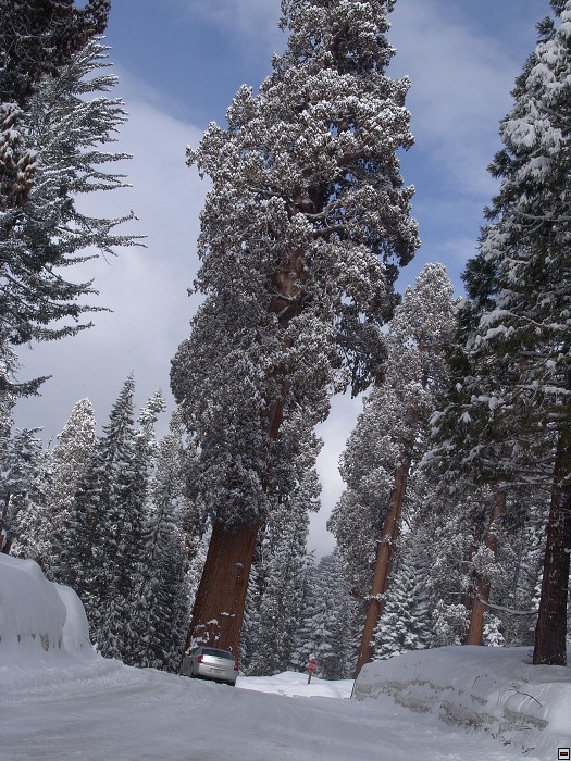 img00141.jpg