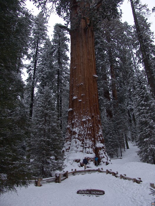 img00146.jpg